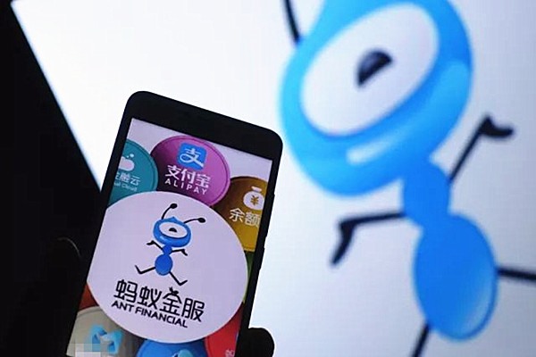 闲鱼买家账号被处置交易怎么办？